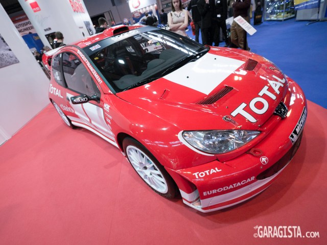 Richard Burns Peugeot 206 WRC 