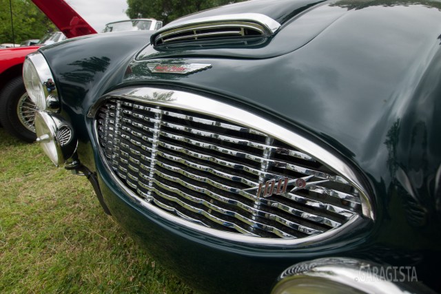 Austin Healey 100 6